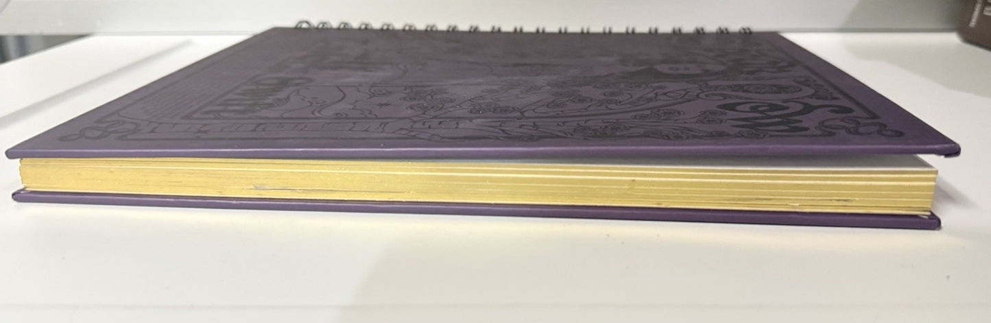 Taylor Swift Speak Now Taylor’s Version Spiral Notebook Journal Preowned BLANK
