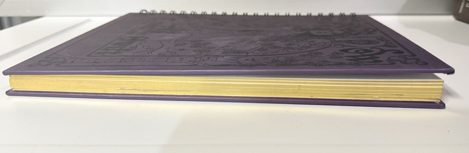 Taylor Swift Speak Now Taylor’s Version Spiral Notebook Journal Preowned BLANK