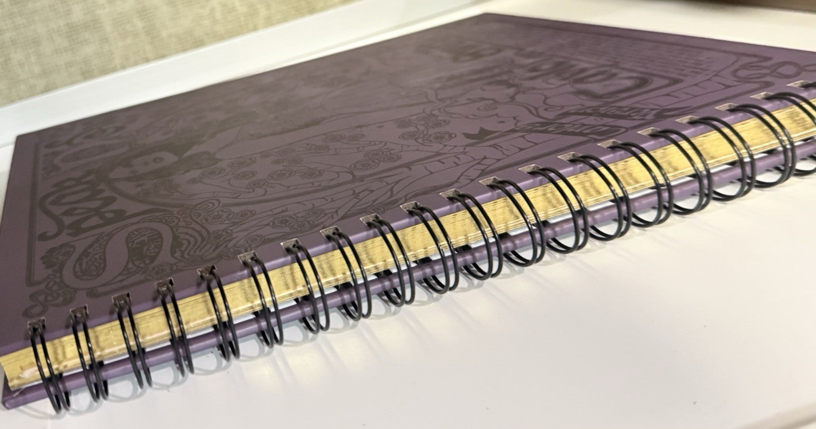 Taylor Swift Speak Now Taylor’s Version Spiral Notebook Journal Preowned BLANK
